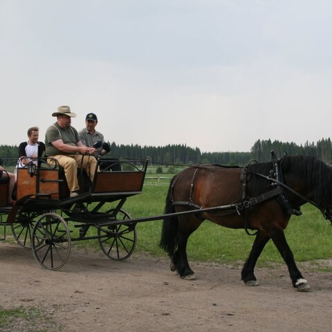 Hans Sidbäck Uusikaupunki 2011