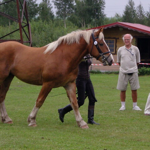 XVII raskeveopäivät 2011