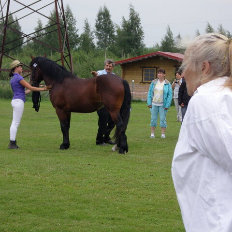 XVII raskeveopäivät 2011