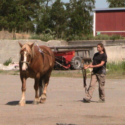 Hans Sidbäck Uusikaupunki 2011