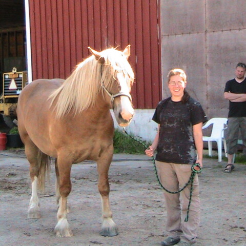 Hans Sidbäck Uusikaupunki 2011