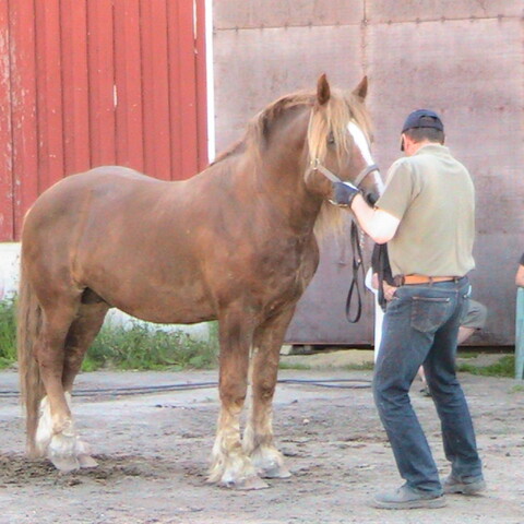Hans Sidbäck Uusikaupunki 2011