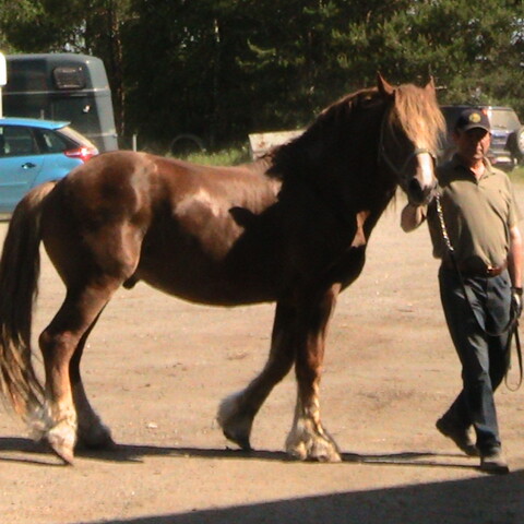 Hans Sidbäck Uusikaupunki 2011